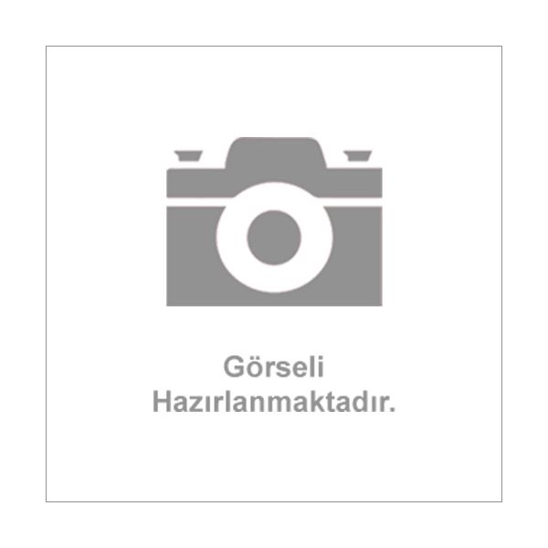 foto kış reşimler