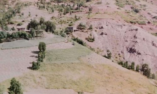 Balikan fotoğraf galeri sayfası (1)