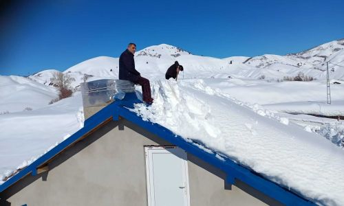 foto kış reşimler