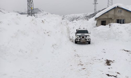foto kış reşimler