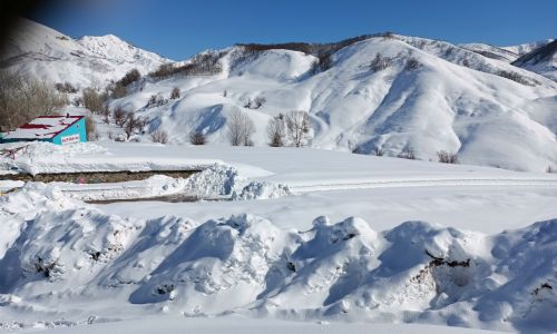 foto kış reşimler