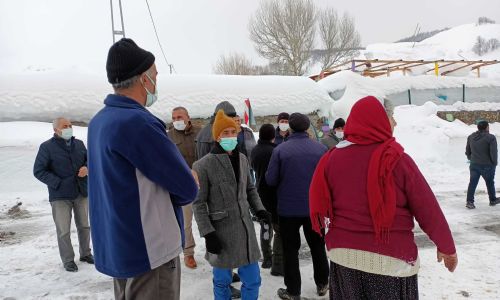 foto kış reşimler