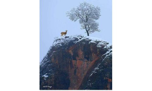 Dersim Resimleri 1