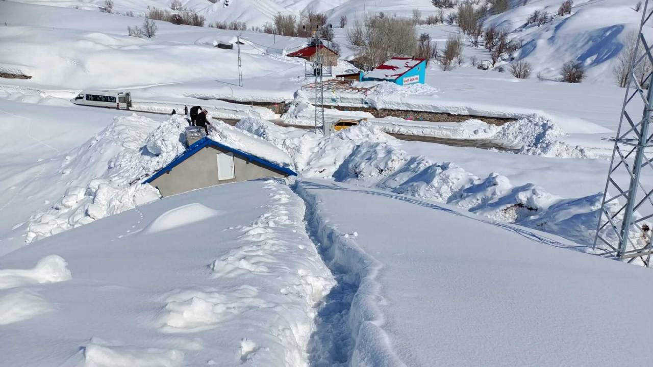 Elgazi de Kış&nbsp;