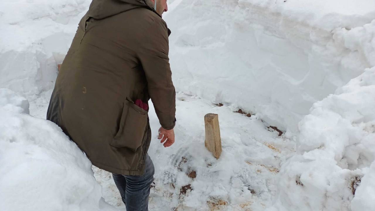 Elgazi de Kış&nbsp;