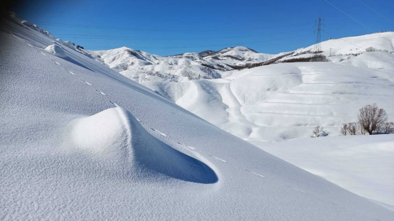 Elgazi de Kış&nbsp;