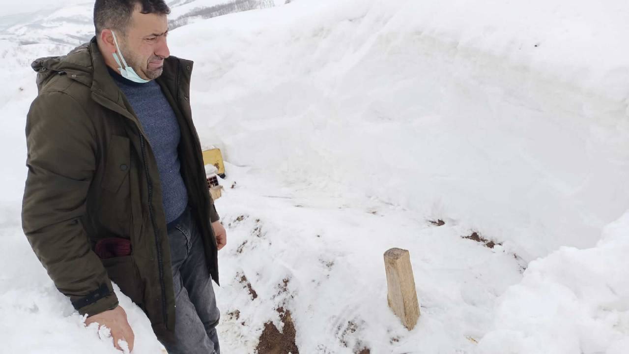 Elgazi de Kış&nbsp;