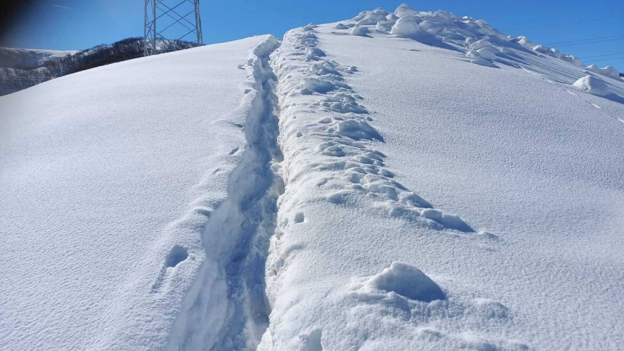 Elgazi de Kış&nbsp;