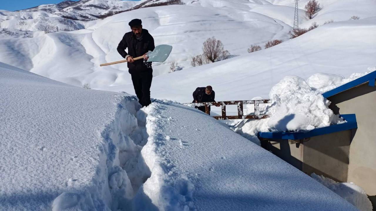 Elgazi de Kış&nbsp;
