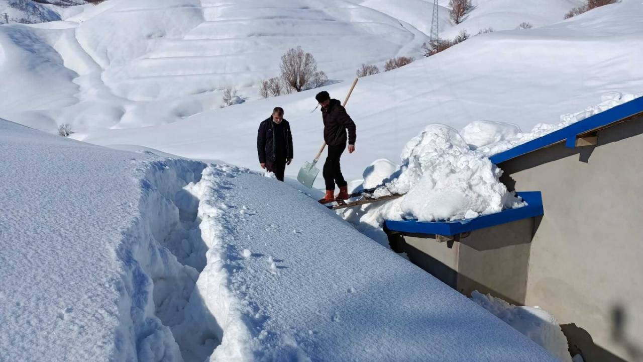 Elgazi de Kış&nbsp;