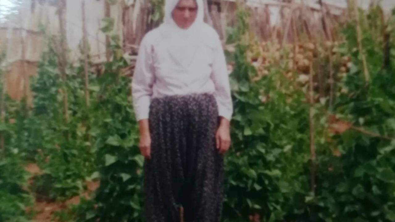 Elgazi Köyü - 2&nbsp;