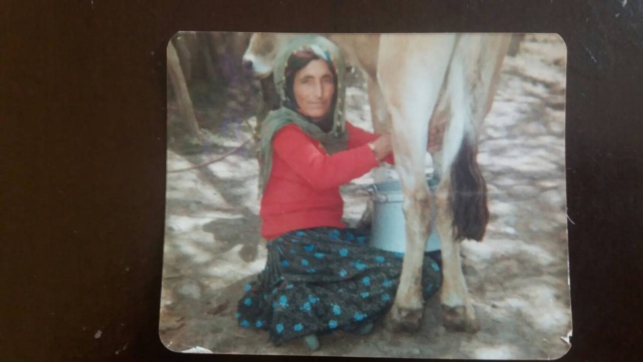 Elgazi Köyü - 2&nbsp;