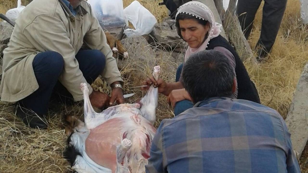 Elgazi Köyü – Türbe ve Mezarlar&nbsp;